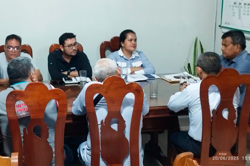 Pelatihan Jurnalistik Profesional