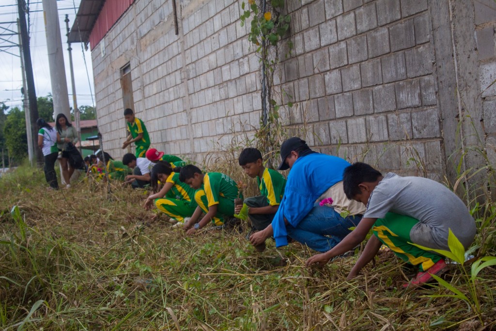 Pelatihan Jurnalistik Profesional