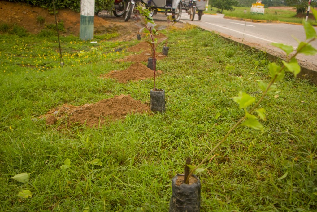 Pelatihan Jurnalistik Profesional