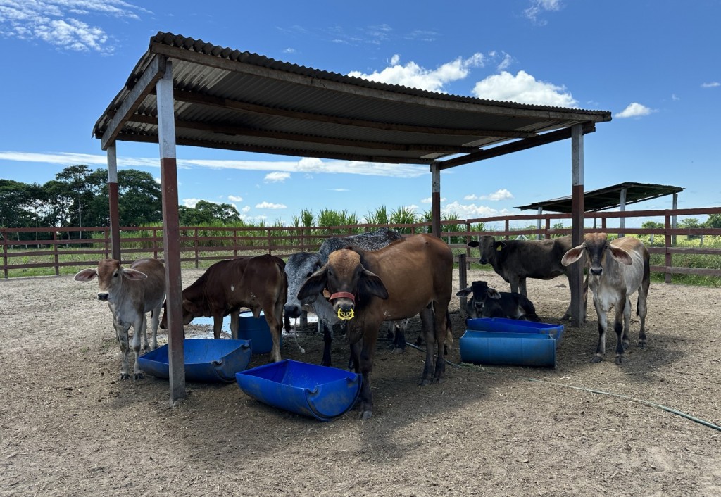 Pelatihan Jurnalistik Profesional