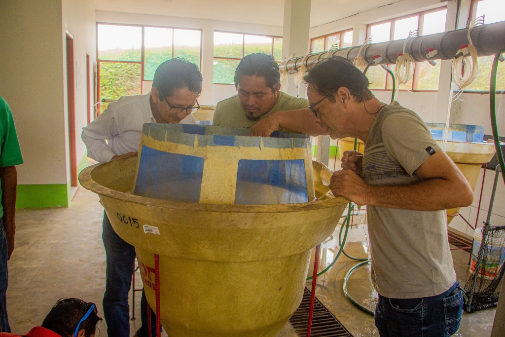 Pelatihan Jurnalistik Profesional