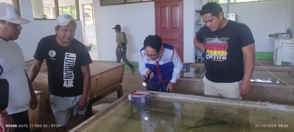 Pelatihan Jurnalistik Profesional